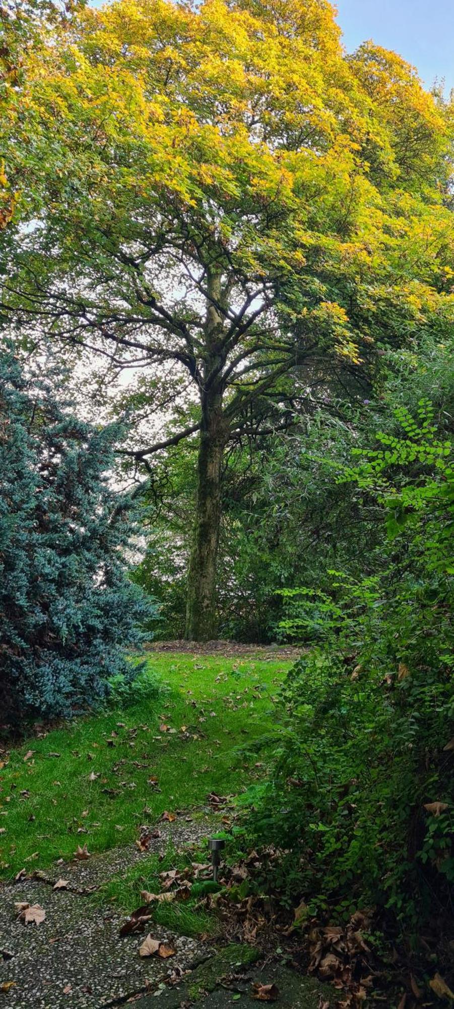 Rust En Stilte In De Natuur Onstwedde Экстерьер фото